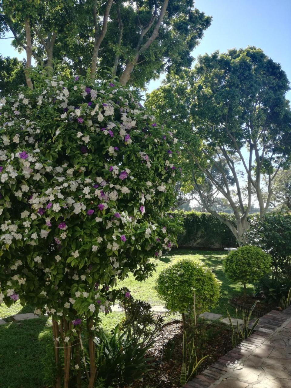 Hotel Chaston Manor à Le Cap Extérieur photo